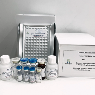 Human Ras Related C3 Botulinum Toxin Substrate 1 (Rac1) ELISA Kit