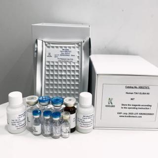 Mouse Angiopoietin Like Protein 2 (ANGPTL2) ELISA Kit