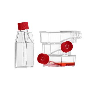 Cell culture flasks KB-CCF-175