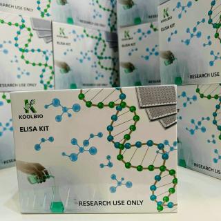Mouse Milk Fat Globule EGF Factor 8 (MFGE8) ELISA Kit KB-E11950M