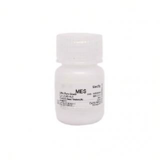 MES, Free Acid, Monohydrate KBM8010