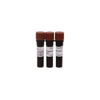Pyruvic Kinase  P8820
