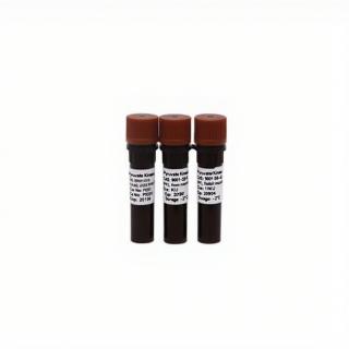 L-Lactic Dehydrogenase KBL8080