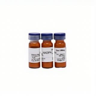 NADPH-Na4 CAS：2646-71-1 KBN8100