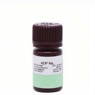 Adenosine-5'-diphosphate disodium salt  CAS：16178-48-6 KBA8290