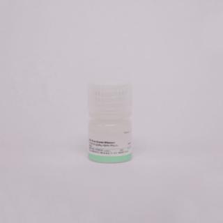 Adenosine-5'-triphosphate disodium salt hydrate CAS：987-65-5  KBA8270