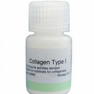Collagens Polypeptide  CAS：9007-34-5 KBC8090