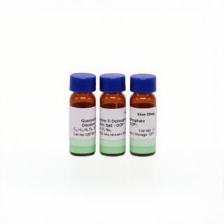 Guanosine-5'-diphosphate disodium salt  CAS：7415-69-2 KBG8730