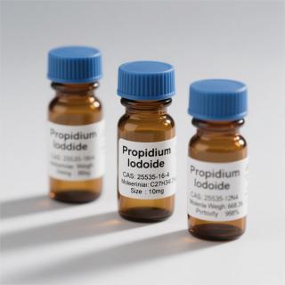 Propidium Iodide CAS：25535-16-4  KBP8080