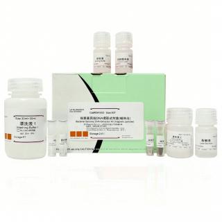 BCA Protein Quantitative Detection Kit G2026