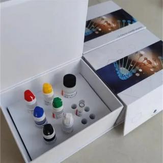 Universal Dye-Based Fluorescent Quantitative PCR Kit for Malaria Parasites