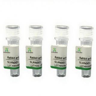 Anti-CD39 Rabbit pAb  KB673915-100