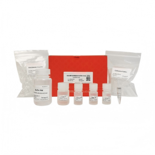 Tissue/Cell/Blood Genomic DNA Extraction Kit KB1100
