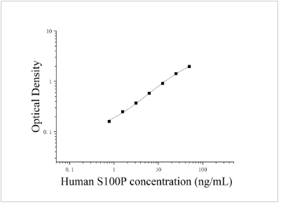 1755260205282887.jpg 12.jpg