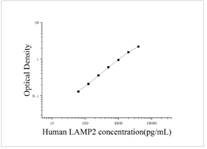 1756261740298959.jpg 68.jpg